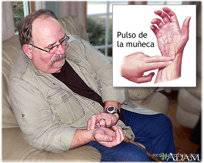Cómo revisar el corazón en casa: guía técnica para monitorizar tu salud cardiovascular sin caer en la hipocondría tecnológica