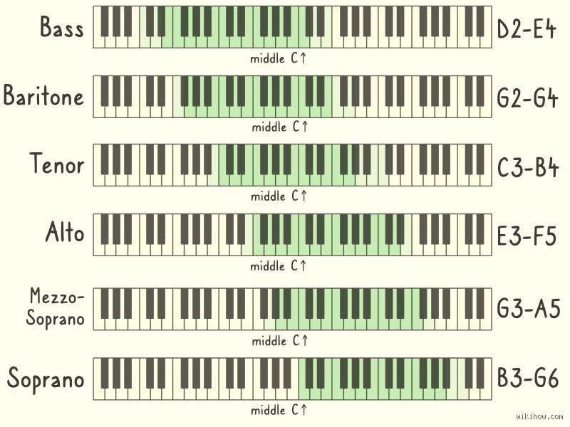 Guía definitiva para descubrir si eres soprano, mezzo soprano o contralto: el arte de descifrar tu verdadera identidad vocal