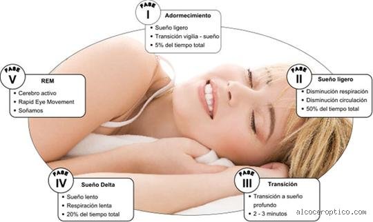 ¿Cómo saber si una persona tiene el sueño profundo? Claves científicas para descifrar el descanso ininterrumpido
