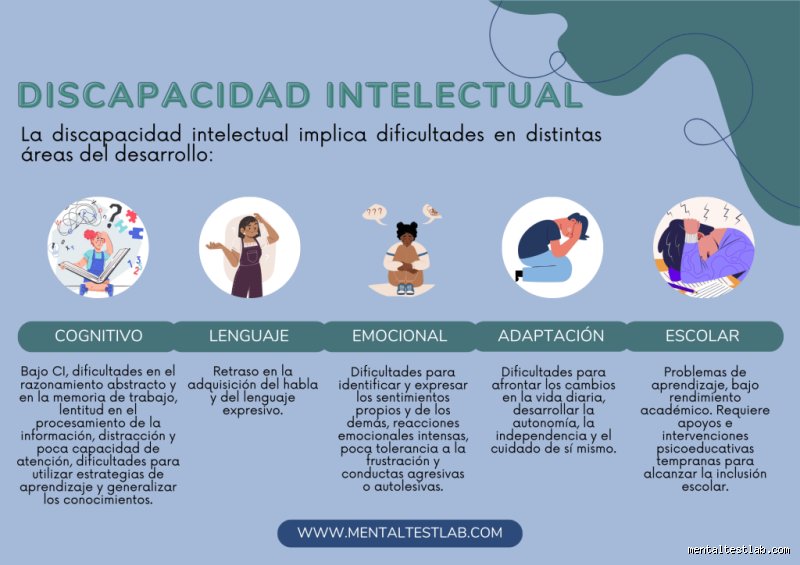 ¿Cómo se comporta una persona con discapacidad intelectual leve? Una radiografía real sobre la autonomía y los desafíos invisibles