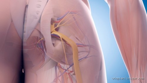 ¿Cómo se llama el dolor que no se quita? Entendiendo el laberinto del dolor crónico y su impacto real