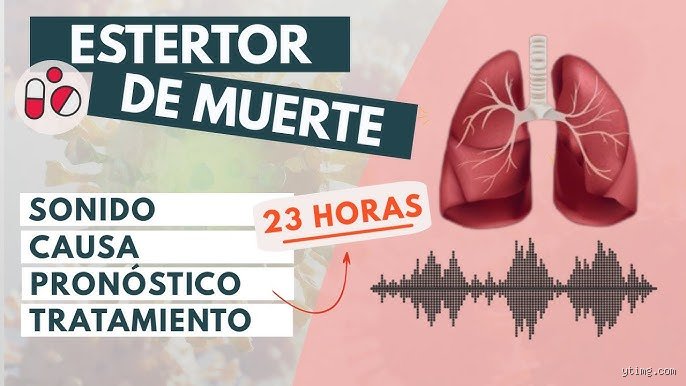 ¿Cómo se llama el sonido antes de morir? La cruda realidad del estertor terminal explicada por expertos