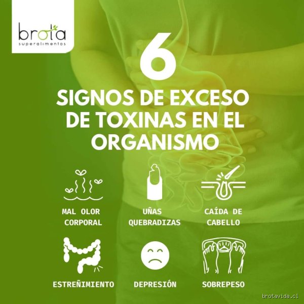 ¿Cómo se siente el cuerpo cuando está lleno de toxinas? Señales físicas silenciosas que tu metabolismo intenta gritarte