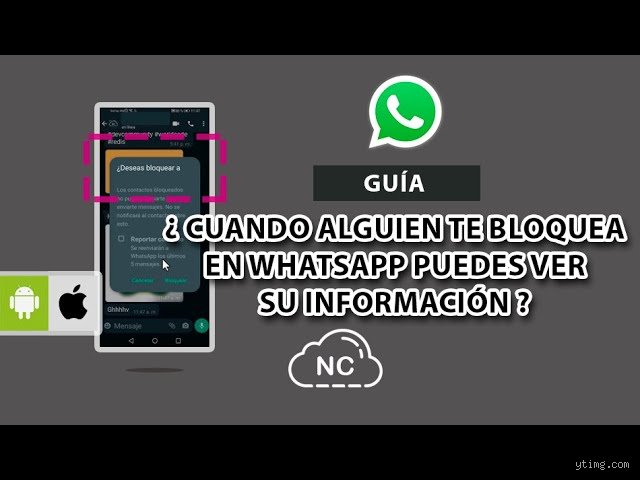 Cómo ver la última conexión de alguien que te bloqueó en WhatsApp: desmitificando los trucos que realmente funcionan en 2026