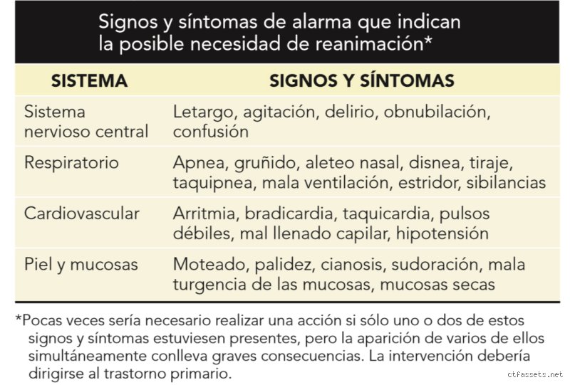 ¿Cuál de los siguientes síntomas indica dificultad respiratoria? Guía para identificar una emergencia cuando el aire empieza a faltar