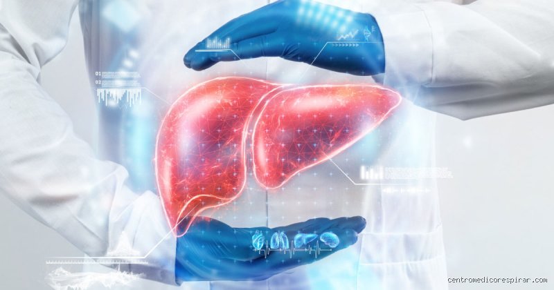 ¿Cuál es el órgano más tóxico del cuerpo? Realidades sobre la acumulación química y el fallo metabólico