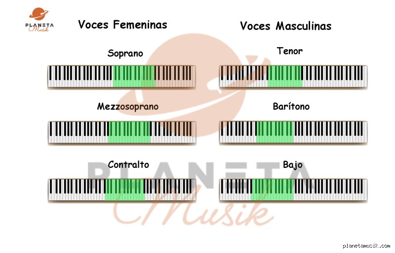 ¿Cuál es el rango vocal promedio de una mujer? La guía definitiva para entender las octavas femeninas sin mitos
