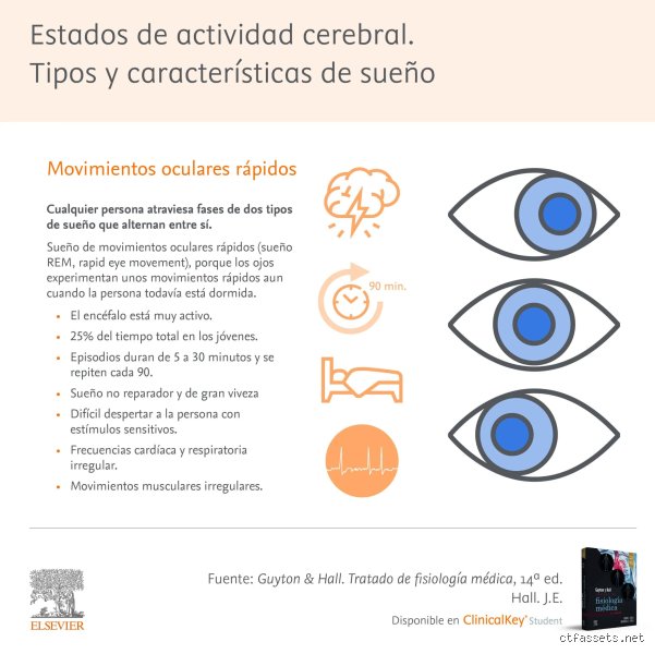 El mito de las ocho horas y la ciencia real sobre cuál es el tipo de sueño más reparador