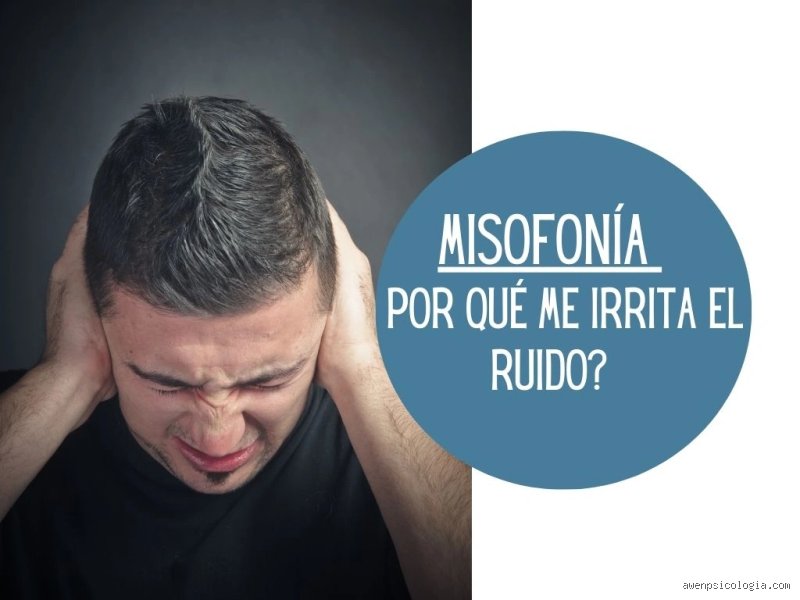 ¿Cuál es el trastorno en el que los sonidos te molestan y por qué destruye tu calma diaria?