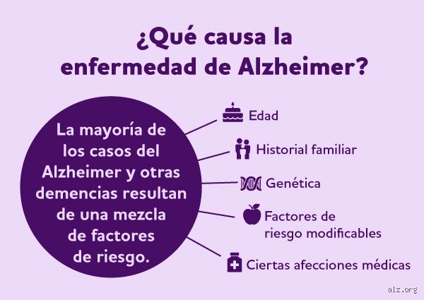 La batalla silenciosa en el cerebro: ¿Cuál es la causa principal de la enfermedad de Alzheimer hoy?
