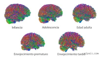 ¿Cuál es la edad de oro del desarrollo cerebral? Desmontando el mito de los tres primeros años de vida