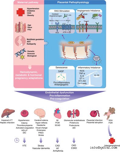 ¿Cuál es la forma más grave de hipertensión durante el embarazo y por qué la eclampsia sigue siendo el mayor temor obstétrico?