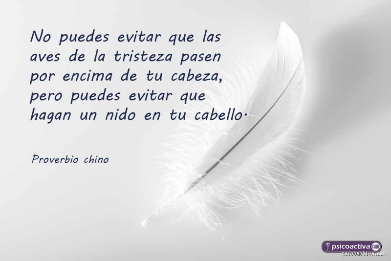 El peso del lenguaje cuando el silencio duele: ¿Cuál es la frase más triste jamás escrita en la historia?