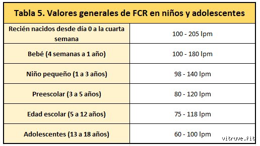 ¿Cuál es la frecuencia cardíaca mínima que puedes tener sin peligro? Entendiendo los límites de tu corazón en reposo