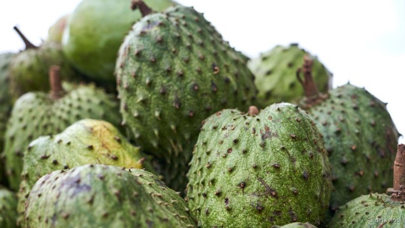 ¿Cuál es la fruta que previene el cáncer? La verdad científica sobre los superalimentos y la prevención oncológica