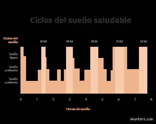 ¿Cuál es la mejor fase del sueño para despertarse y cómo hackear tu reloj biológico?