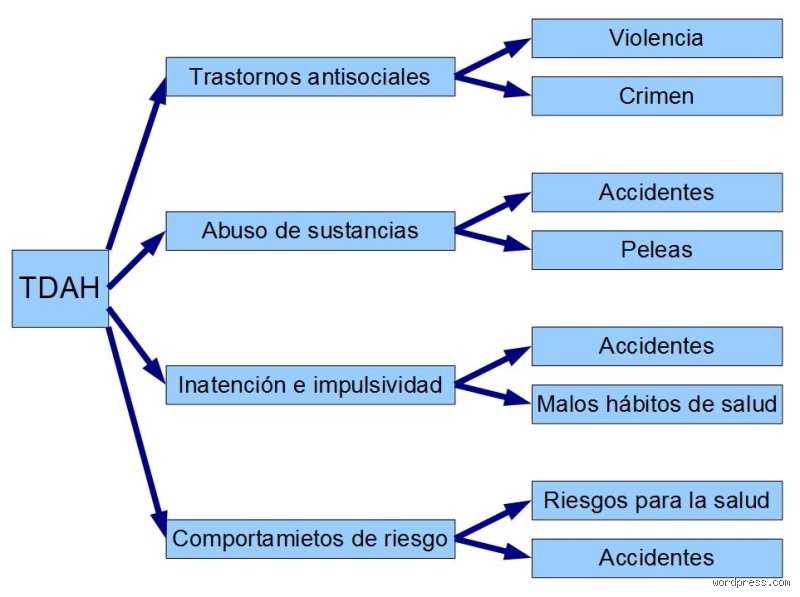 Más allá de la distracción: ¿Cuál es la principal causa de muerte en el TDAH y por qué lo ignoramos?