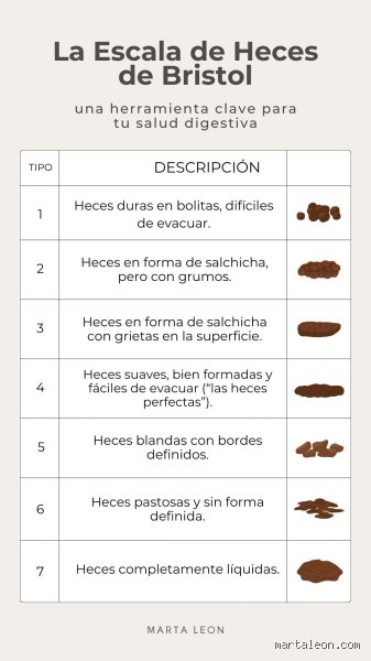 ¿Cuál es la regla de las 3 deposiciones y por qué define tu verdadera salud intestinal hoy mismo?