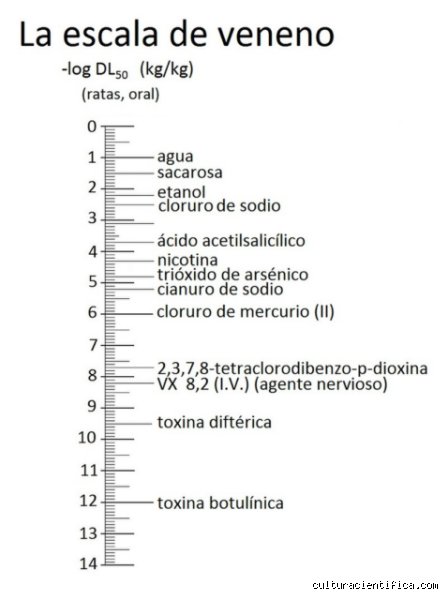 ¿Cuál es la toxina más letal para los humanos y cómo opera en nuestro organismo?