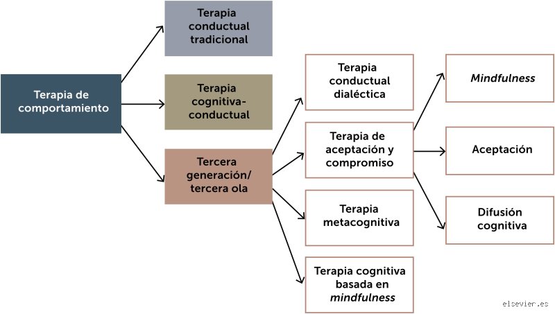 ¿Cuál es la última etapa del insomnio y qué ocurre cuando el cerebro simplemente decide tirar la toalla?