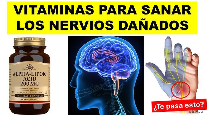 Más allá del mito del complejo B: ¿Cuál es la vitamina que regula el sistema nervioso de forma integral?