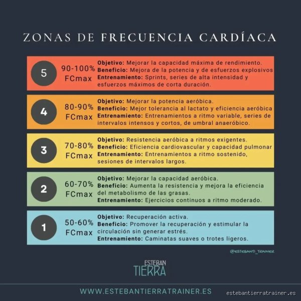 ¿Cuál es la zona de peligro para la frecuencia cardíaca en reposo? Guía médica para entender cuándo tu corazón pide ayuda