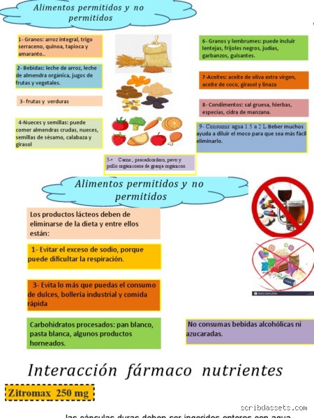 ¿Cuál es una buena dieta para la neumonía? Guía nutricional completa para fortalecer tus pulmones y acelerar la recuperación