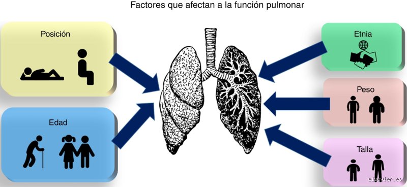 La salud respiratoria en juego: ¿Cuáles son 4 cosas que dañan los pulmones y cómo nos están robando el aliento hoy?