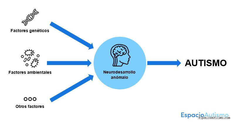 ¿Cuáles son las 3 causas principales del autismo? Un análisis profundo sobre la arquitectura invisible del neurodesarrollo
