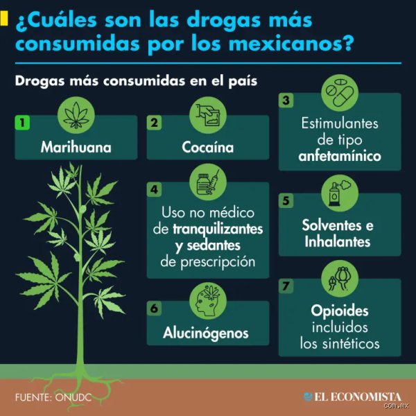 ¿Cuáles son las 3 drogas más consumidas? Un análisis profundo sobre la realidad química que define nuestra sociedad actual