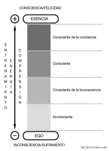 Más allá del simple parpadeo: ¿Cuáles son las 4 etapas de la consciencia que definen nuestra realidad humana?