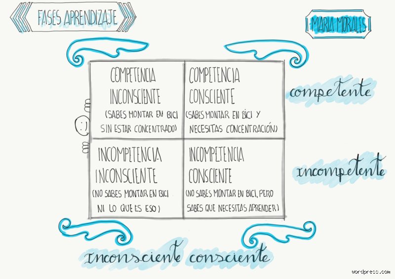 Más allá del aula tradicional: ¿Cuáles son las 4 fases del aprendizaje y por qué dominarlas transforma tu carrera profesional?