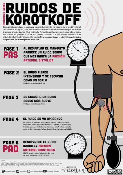 ¿Cuáles son las 5 etapas de la hipertensión? Una guía clínica para entender el silencio de tus arterias