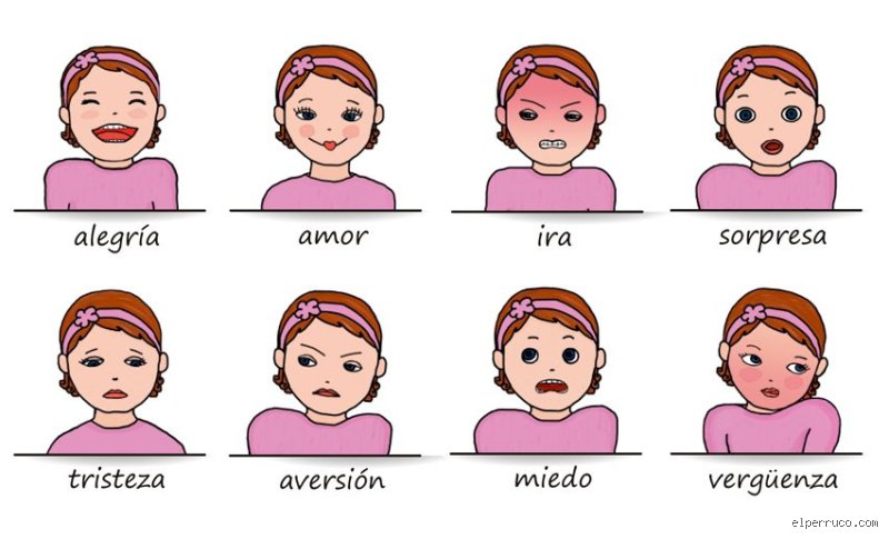 ¿Cuáles son las 7 emociones de la vida? El mapa biológico que define nuestra existencia diaria