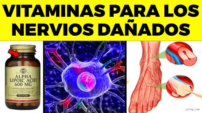 ¿Cuáles son las 7 vitaminas que reparan el daño nervioso? La guía definitiva para regenerar tu sistema periférico