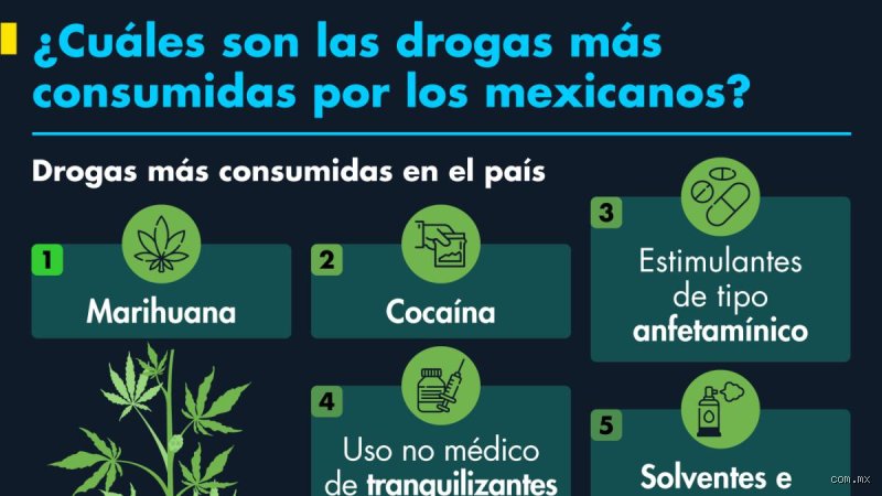 ¿Cuáles son las cuatro drogas más importantes en la historia de la humanidad y su impacto global hoy?