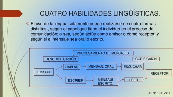 ¿Cuáles son las cuatro habilidades básicas de comunicación y por qué el mito de las ocho opciones nos confunde tanto?