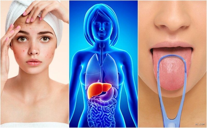 ¿Cuáles son las señales de que tu hígado se está desintoxicando y por qué ignorar los mitos de internet podría salvarte?