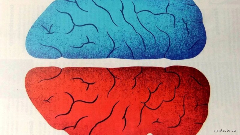 La oscura jerarquía de la mente humana: ¿Cuáles son los 3 peores trastornos de la personalidad y por qué nos aterrorizan?