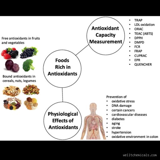 Descubre cuáles son los 3 principales antioxidantes y por qué tu cuerpo depende de esta trilogía biológica invisible