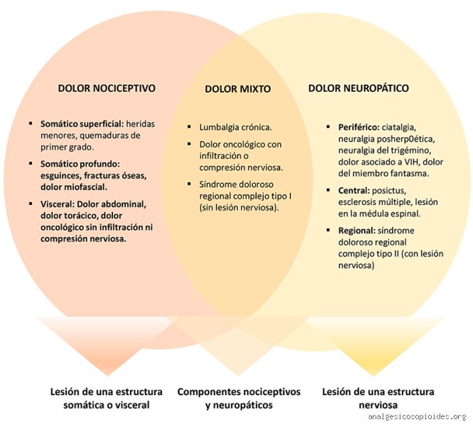 Entender la fisiología del sufrimiento: ¿Cuáles son los 3 tipos de dolor? y por qué tu cerebro te engaña