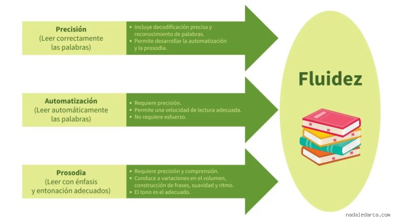 Más allá de las palabras: ¿Cuáles son los 4 tipos de fluidez que realmente definen tu dominio del lenguaje?