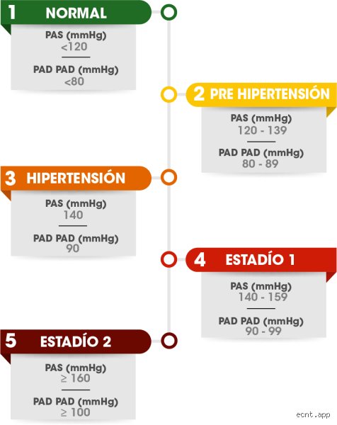 ¿Cuáles son los 4 tipos de hipertensión? Una radiografía médica para entender por qué tu corazón trabaja bajo presión