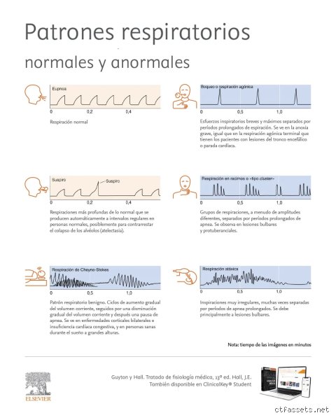 Descifrando el caos pulmonar: ¿Cuáles son los 4 tipos de respiración anormal que delatan un fallo inminente?