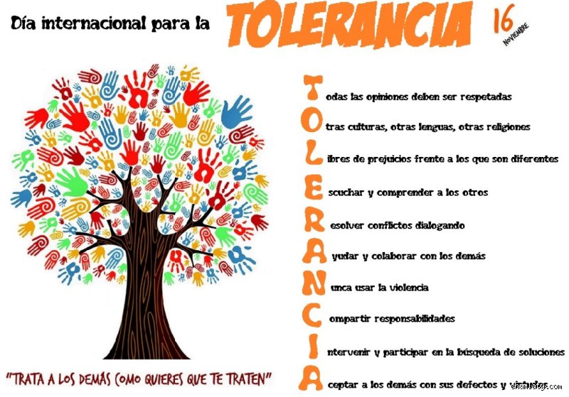 ¿Cuáles son los 4 tipos de tolerancia y por qué entenderlos es el verdadero salvavidas de nuestra convivencia actual?