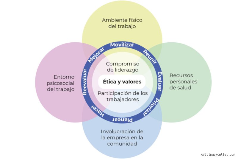 ¿Cuáles son los 5 elementos de un entorno saludable que transformarán radicalmente tu bienestar diario y productividad?
