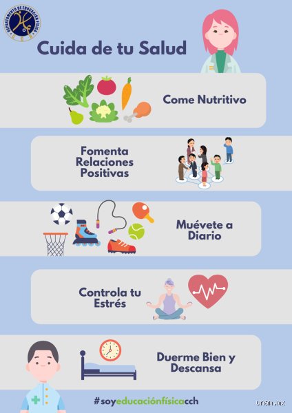 ¿Cuáles son los 5 elementos principales de un estilo de vida saludable para transformar tu realidad diaria hoy mismo?
