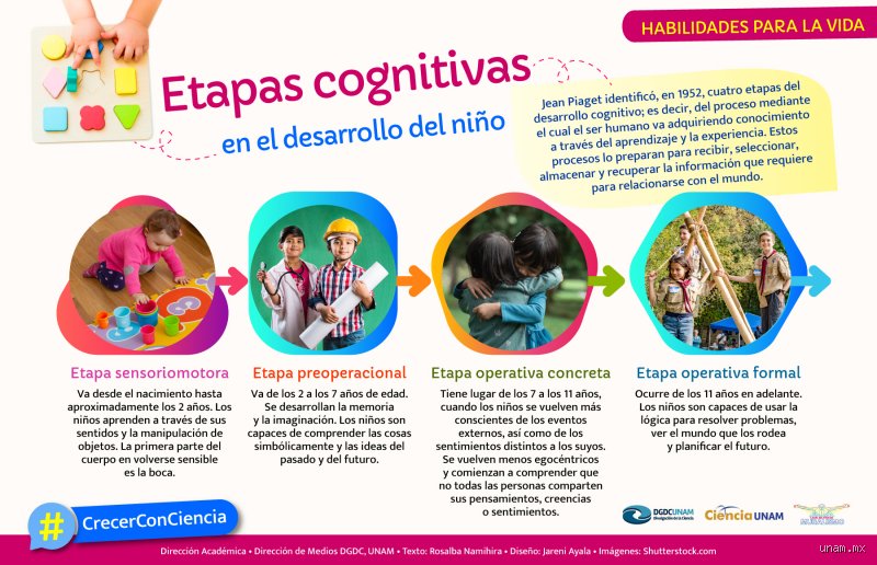 Más allá de la superficie mental: descubriendo cuáles son los cuatro niveles cognitivos que rigen tu capacidad de aprendizaje
