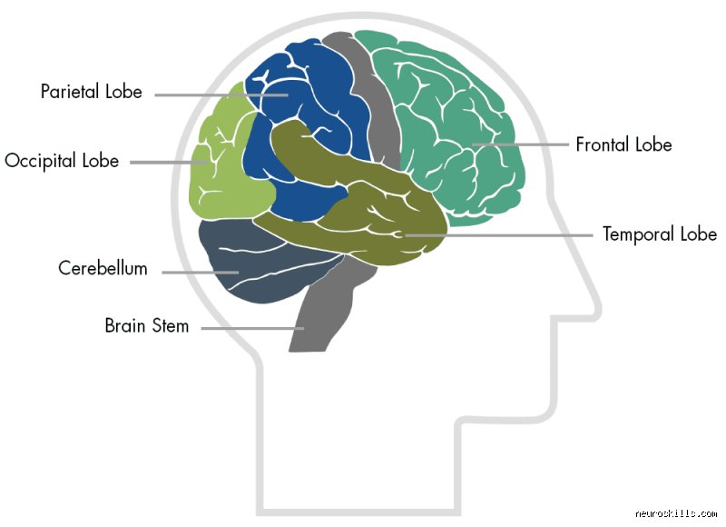 Más allá del impacto inmediato: Los efectos a corto y largo plazo de las lesiones cerebrales que la medicina apenas empieza a descifrar