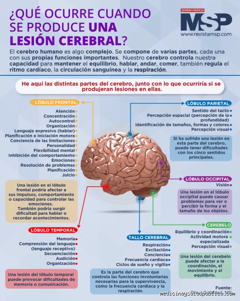 ¿Cuáles son los efectos a largo plazo de una lesión cerebral y por qué la medicina actual todavía camina a ciegas?